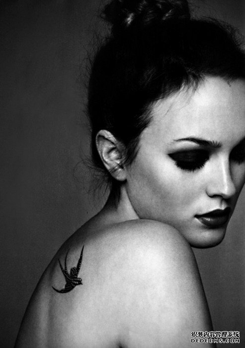 ����ĵ�����������