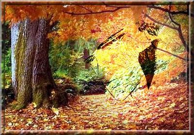 ���������