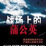 ս���ϵ��ѹ�Ӣ