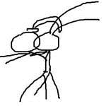 ������ͬ�ˣ�С�Ƽ�����̱��ү