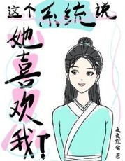 ���ϵͳ˵��ϲ����