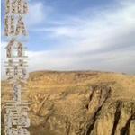 ����ڻ�������