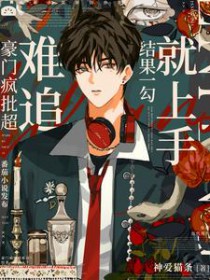 ���ŷ�������׷�����һ��������