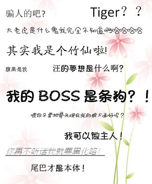 �ҵ�BOSS������