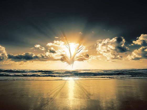 �㴳�����ҵ��������ͱ�����