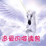 ׷�����ɻ���