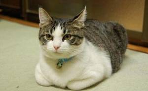 ������ H����Ϸ����ô��