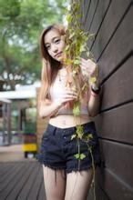 ��������ؤ�Ĺ���