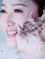 ������Ǭ��