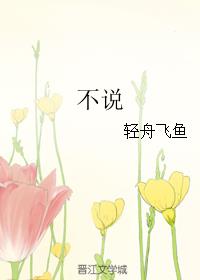 ˵