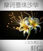 Ħڭ����ɳ��