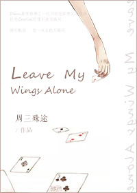 ��а������ͬ�ˣ�Leave My Wings Alone