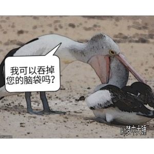 �ҿ����̵������Դ���