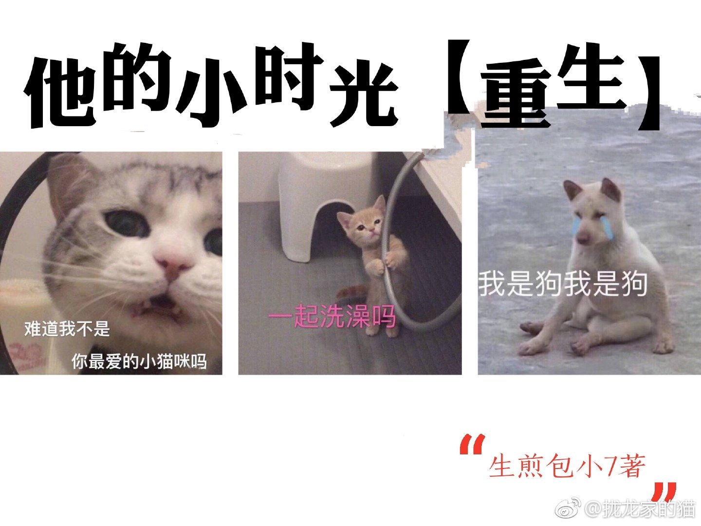 ����Сʱ������