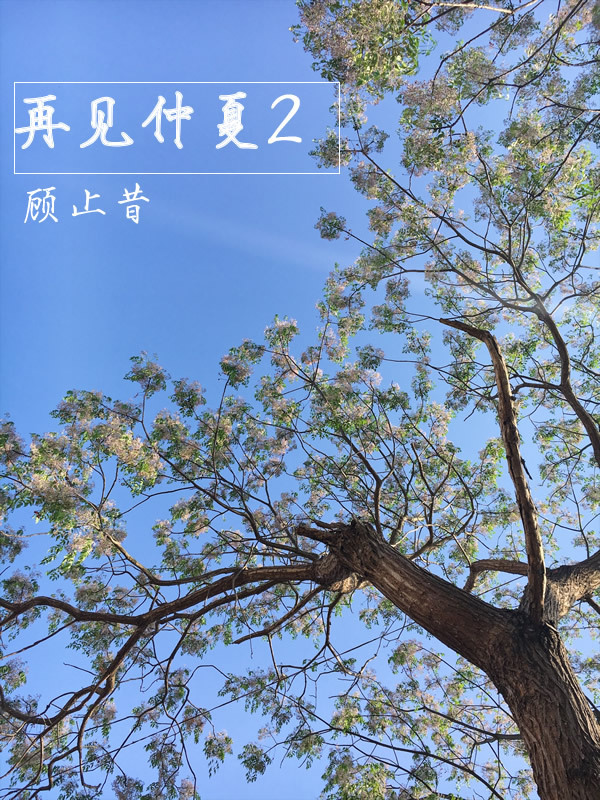 �ټ�����2