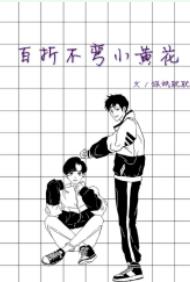 ���۲���С�ƻ�