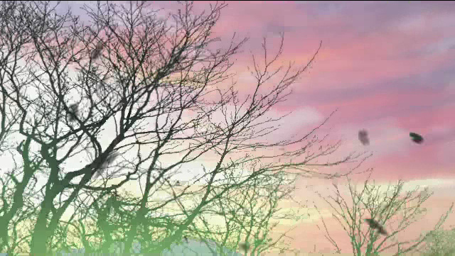 ������ͬ�ˣ�[�����ط�]���Ե