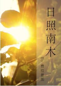 ������ľ