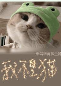 [��ƪ]�Ҳ���è