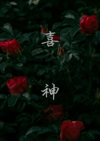 ϲ��1v1��ֶ��