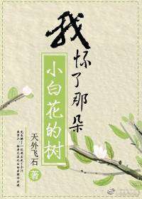 �һ����Ƕ�С�׻�����