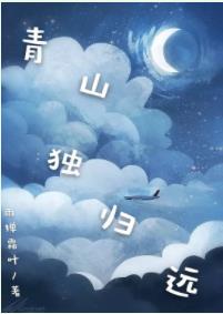 ��ɽ����Զ