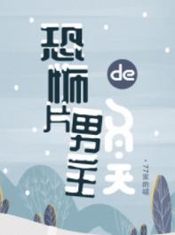 �ֲ�Ƭ�����Ķ���