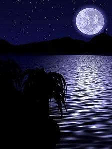 ��ʮ������ͬ�ˣ���֮Ӱ