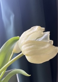 ���ڶ���ʱ