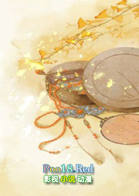 �������ã�����Ů��NP��