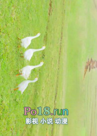 ���ࡾ��H��