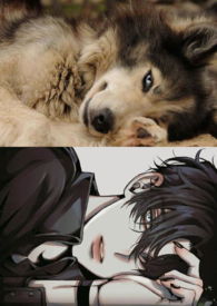 �󽿣�NPH&amp;amp;nbsp;&amp;amp;nbsp;��ͼ��