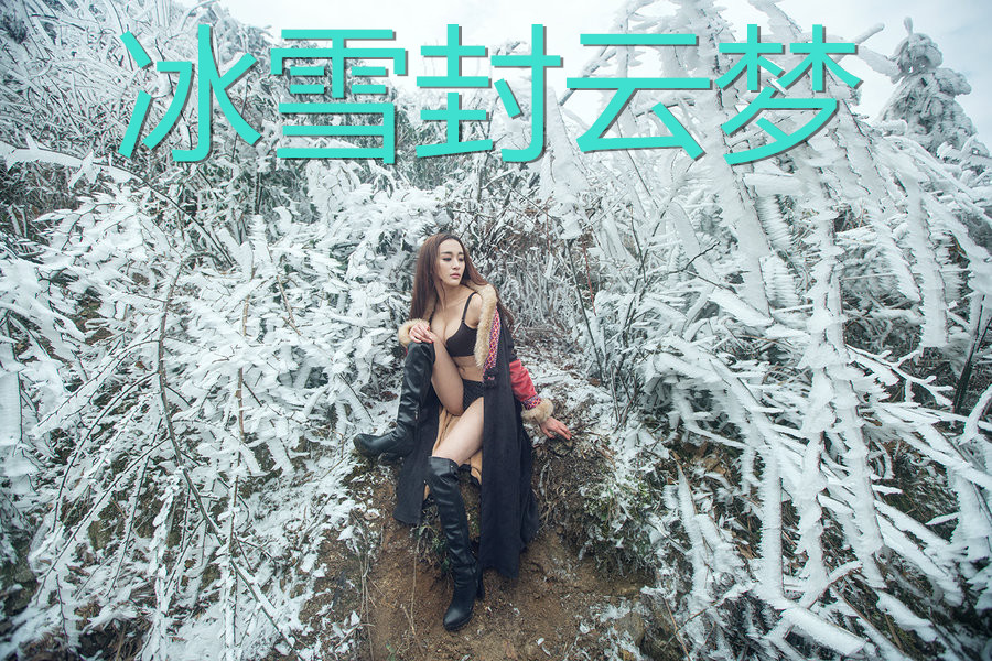 ��ѩ������