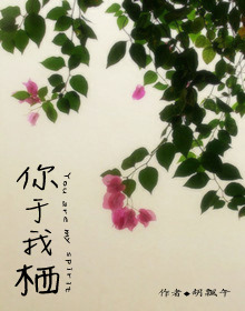 �������ܣ��߸ɣ�