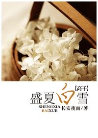 ʢ�İ�ѩ ���߸ɣ�