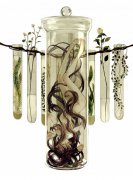 Ȩ��������