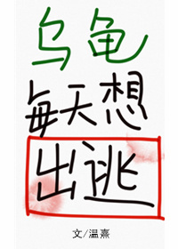 �ڹ�ÿ�������