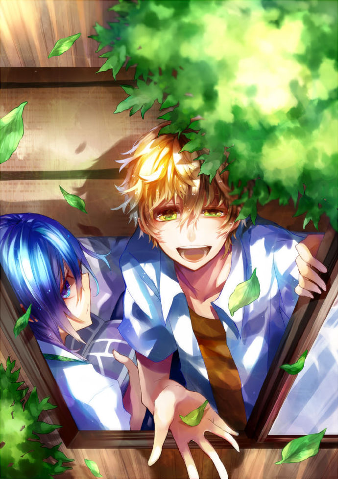 Ȩ������