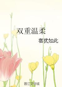 ˫