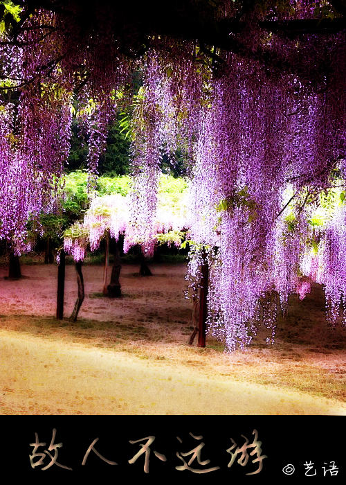 ������ͬ�ˣ�[����/����]���˲�Զ��