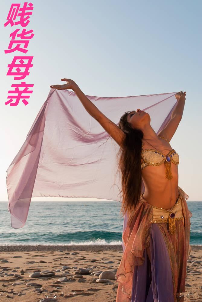 ����ĸ��