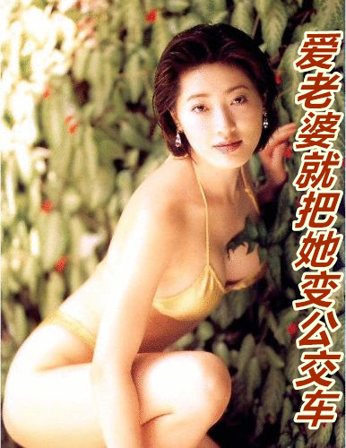 �����žͰ����乫����