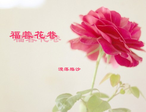 ���ػ���/Red-Light District of FURONG