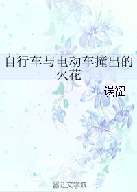 ���г���綯��ײ���Ļ�