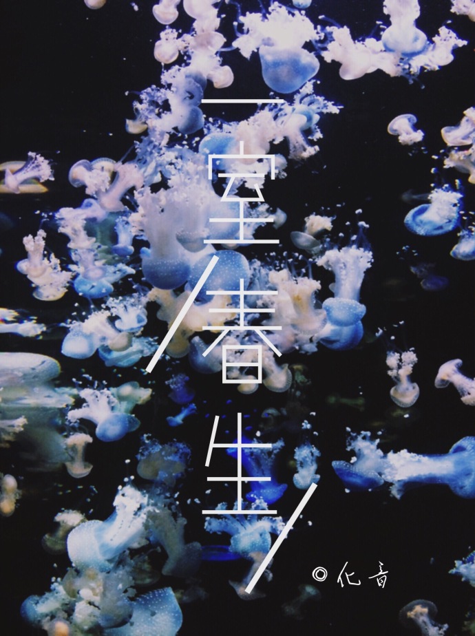 һҴ[]