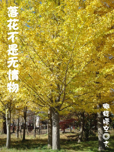 �仨����������