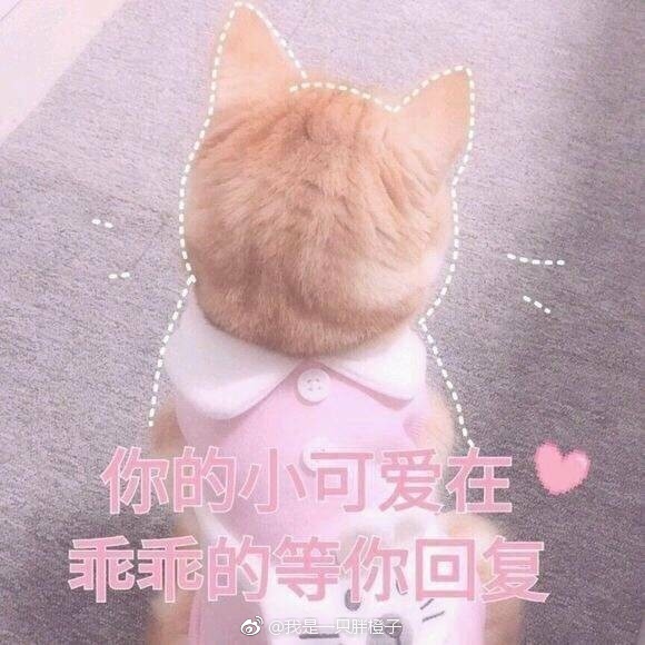 ǣæ