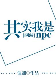 ʵnpc[]