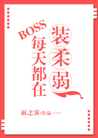 BOSSÿ춼װ