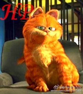 HPͬˣHP֮ӷè